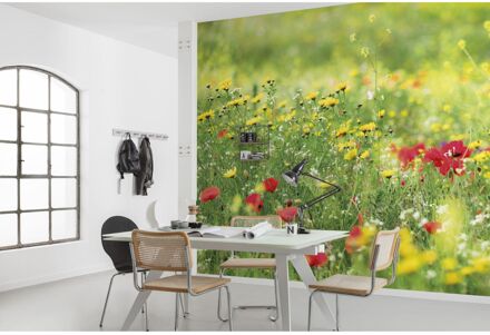 Praxis Fotobehang - Wiesenzauber II 450x280cm - Vliesbehang Multikleur