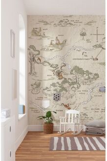Praxis Fotobehang - Winnie Pooh Map 200x240cm - Vliesbehang Multikleur