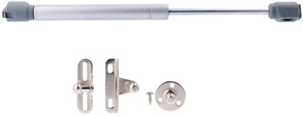 Praxis Gasdrukveer - Staal - 243 Mm - Voor Deuren Tot 11 Kg