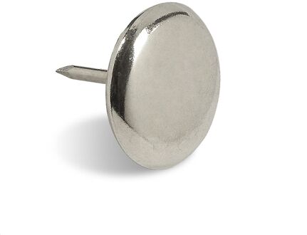 Praxis Glijnagel 30mm Vernikkeld 4 Stuks