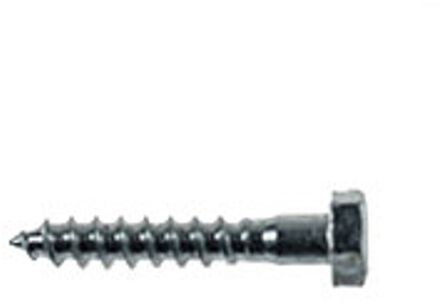 Praxis Houtdraadbout M5x30mm 20 Stuks