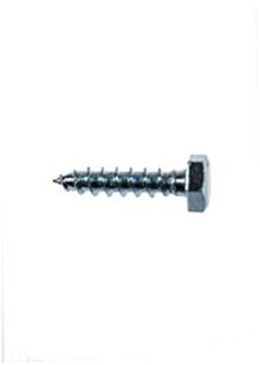 Praxis Houtdraadbout M6x25mm 15 Stuks