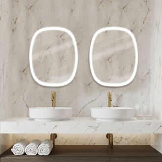 Praxis Klassieke Badkamerspiegel Carmen 2 - Rechthoekig - 80x65 Cm