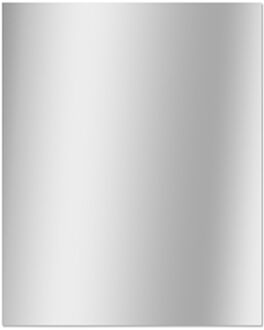 Praxis Klassieke Badkamerspiegel - Rechthoekig - 50x40 Cm