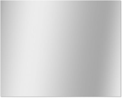 Praxis Klassieke Badkamerspiegel - Rechthoekig - 50x40 Cm