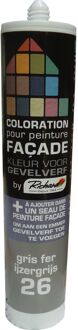 Praxis Kleurstof Voor Gevel Verf Richard Ijzer Grijs 450gr