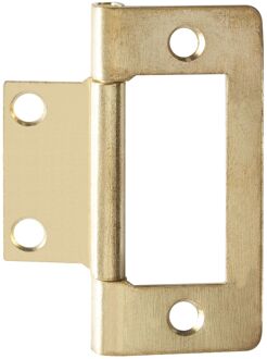 Praxis Louvredeurscharnier - Messinggecoat Staal - 50 Mm - 4 Stuks