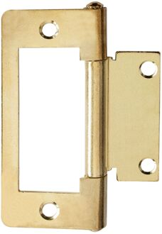 Praxis Louvredeurscharnier - Messinggecoat Staal - 75 Mm - 4 Stuks