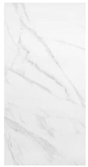 Praxis Marmerlook Tegel - Calacatta Gepolijst - Wit/grijs - Keramiek - Glans - 60x120 Cm - 1,44 M²