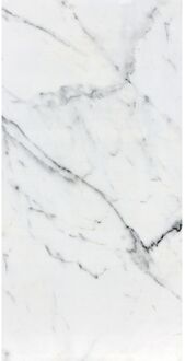 Praxis Marmerlook Tegel - Calacatta Strong - Wit - Keramiek - Glans - 60x120 Cm - 1,44 M²