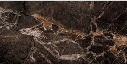 Praxis Marmerlook Tegel - Emporium Nero - Zwart Bruin - Keramiek - Hoogglans - 60x120 Cm - 1,44 M²