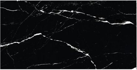 Praxis Marmerlook Tegel - Marquina Zwart - Keramiek - Hoogglans - 60x120 Cm - 1,44 M²