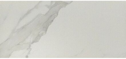 Praxis Marmerlook Vloertegel Pisa - Wit - Keramiek - Mat - Gerectificeerd - 29,8×60 Cm - 1,44 M²