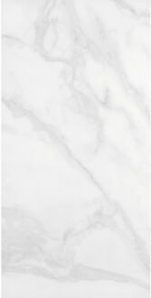 Praxis Marmerlooktegel - Calacatta - Wit - Keramiek - Mat - 60x120 Cm - 1,44 M²