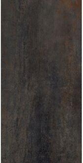 Praxis Metaal-look Tegel Brooklyn Nero - Metaal Antraciet - Mat - 30x60 Cm - 1,51 M²