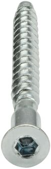 Praxis Meubelschroef Gegalvaniseerd Verzonken Kop Inbus - 5x50mm - 16 Stuks