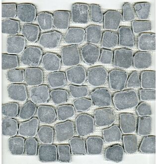 Praxis Mozaïek Grey Coin - Grijs - Natuursteen - 30x30 Cm - 0,09 M²