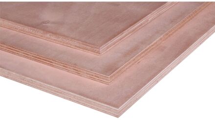 Praxis Multiplex - Supergarant - Okoumé - 250x122 Cm - 8 Mm