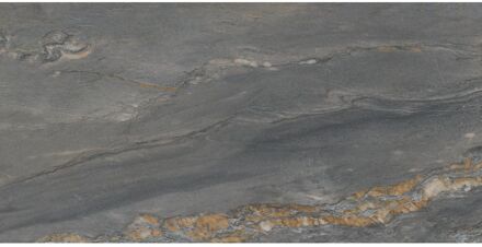 Praxis Natuursteenlook Tegel Cardosia - Grijs - Gepolijst - 60x120 Cm - 1,44 M²