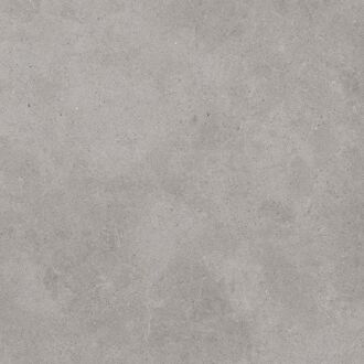 Praxis Natuursteenlook Tegel Eco Living - Donkergrijs - Mat - 88,6x88,6 Cm - 1,57 M²