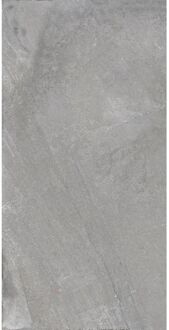 Praxis Natuursteenlook Tegel Flora Marble - Parelgrijs - Mat - 30x60 Cm - 1,44 M²