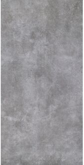 Praxis Natuursteenlook Tegel Urban - Grijs - Mat - 60x120 Cm - 1,44 M²