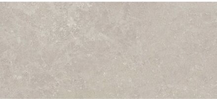 Praxis Natuursteenlooktegel Breccia Avioro - Crème - Mat - 30x60 Cm - 1,44 M²