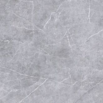 Praxis Natuursteenlooktegel Moon - Grijs - Mat - 60x60 Cm - 1,44 M²