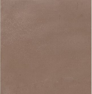 Praxis Natuursteenlooktegel Terra Clay - Bruin - Mat - 15x15 Cm - 0,50 M²