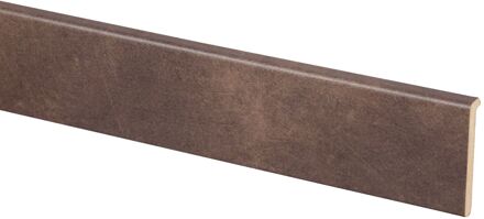 Praxis Open Trapprofiel - Leerlook - 130x6cm