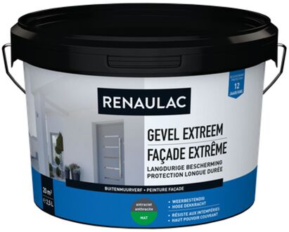 Praxis Renaulac Buitenmuurverf Gevel Extreem Mat Antraciet 2,5l