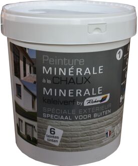 Praxis Richard Gevelverf Minerale Kalk Muurverf - Mat - Gris Casse