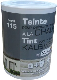 Praxis Richard Tint Voor Kaleiverf Basalt 250g
