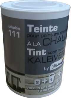 Praxis Richard Tint Voor Kaleiverf Celadon 250g