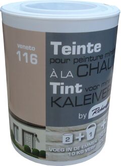 Praxis Richard Tint Voor Kaleiverf Veneto 250g
