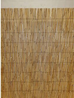 Praxis Rietscherm - Riet - Natuurlijk - 200x500cm