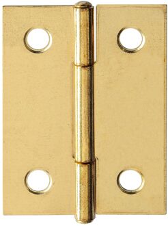 Praxis Scharnier - Massief Messing - 40x30 Mm - 2 Stuks