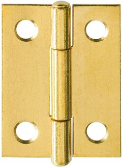 Praxis Scharnier - Messing - 30x22 Mm - 2 Stuks