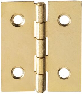Praxis Scharnier - Messinggecoat Staal - 30x26 Mm - 4 Stuks