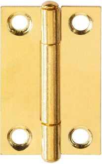 Praxis Scharnier - Messingkleurig Staal - 18x30 Mm - 4 Stuks