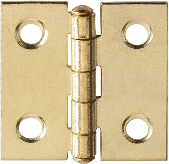 Praxis Scharnier - Messingstaal - 25x25 Mm - 4 Stuks