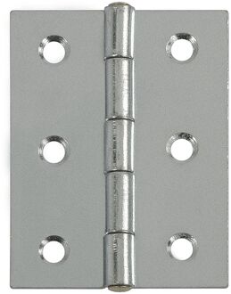 Praxis Scharnier Met Koperen Pen - Verzinkt Staal - 60x40 Mm - 2 Stuks