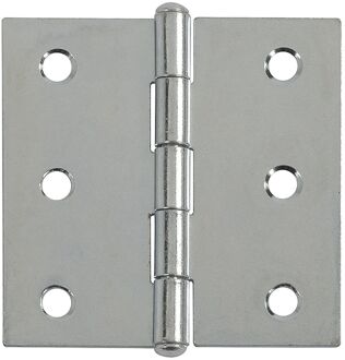 Praxis Scharnier - Verzinkt Staal - 50x50 Mm - 6 Stuks