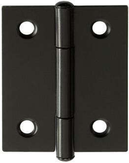 Praxis Scharnier - Zwart Staal - 40x32 Mm - 2 Stuks