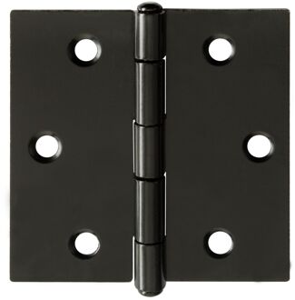Praxis Scharnier - Zwart Staal - 50x50 Mm - 2 Stuks