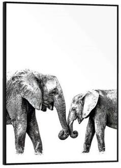 Praxis Schilderij Olifanten Zwart-wit 30x40cm
