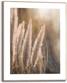 Praxis Schilderij Pampas Zand 40x50cm