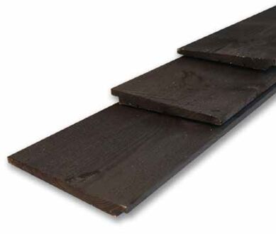 Praxis Schuttingplank - Grenen - Geïmpregneerd - 1,8x20x300cm