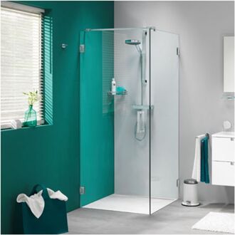 Praxis Sealskin | Get Wet I Am Zijwand Voor Combinatie Met Swingdeur, 900mm, Rvs (look), 8mm Helder Veiligheidsglas + Antikalk