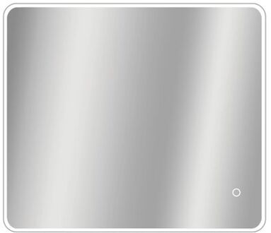 Praxis Spiegel Renzo Rechthoek Met Ledverlichting Touch Sensor En Spiegelverwarming 70x80cm